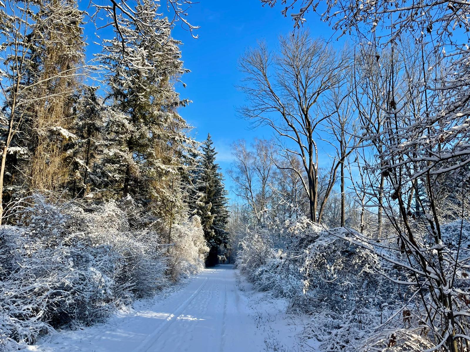 WhatsApp Image 2026 01 11 at 13.12.39