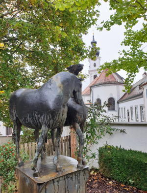Pferde