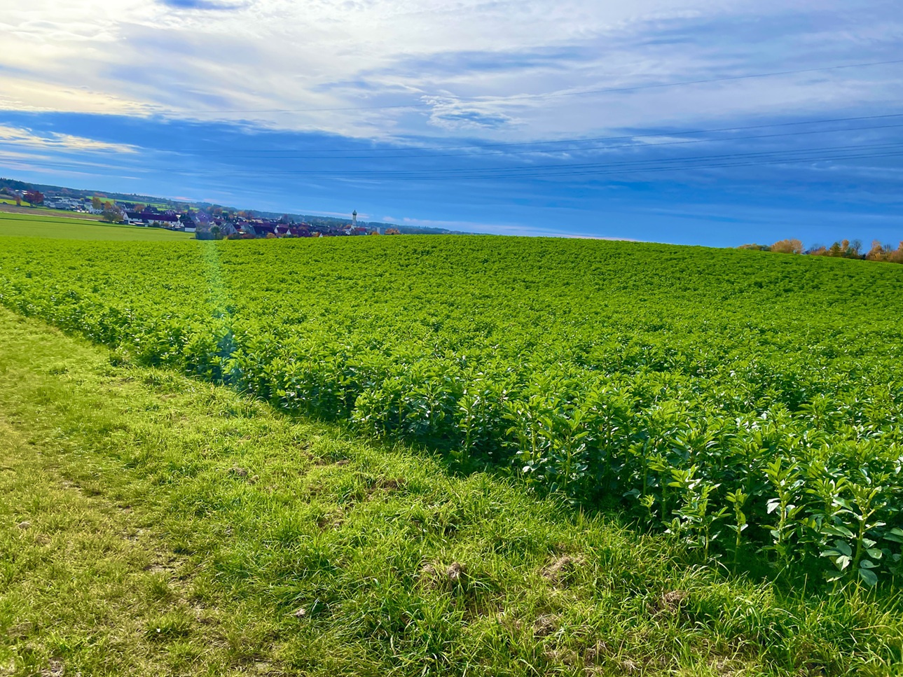 MTB Grav 1.11.25 Bild11